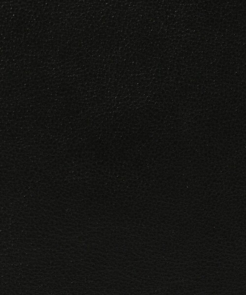 TOMORROWLAND （トゥモローランド）の「ADVENE SMALL DUET バッグ（ショルダーバッグ・レディース・ブラック・FREE）」の8枚目の写真