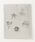 atmos�i�A�g���X�j�́ucrocs �N���b�N�g�[�o�[ Chrome 5 �p�b�N / �N���b�N�X �N���b�N�g�[�o�[ �N����5 �p�b�N�i�V���[�Y�A�N�Z�T���[�j�v�b�}���`