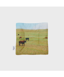 PHOTOZENIA GOODS（フォトゼニアグッズ）の「モンゴルクッションコースター7種（ランチョンマット/テーブルウェア）」