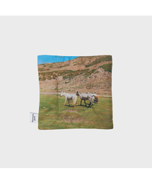 PHOTOZENIA GOODS（フォトゼニアグッズ）の「モンゴルクッションコースター7種（ランチョンマット/テーブルウェア）」