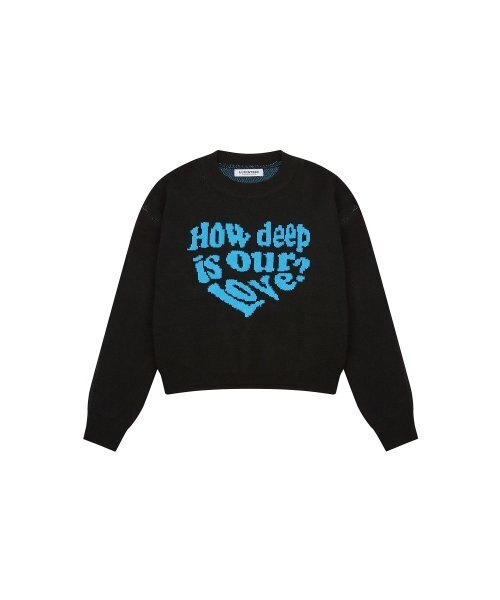 LUVISTRUE(ラヴイズトゥルー)の「MV LOVE KNIT(BLUE)(ニット/セーター・レディース・その他・FREE)」の2枚目の写真