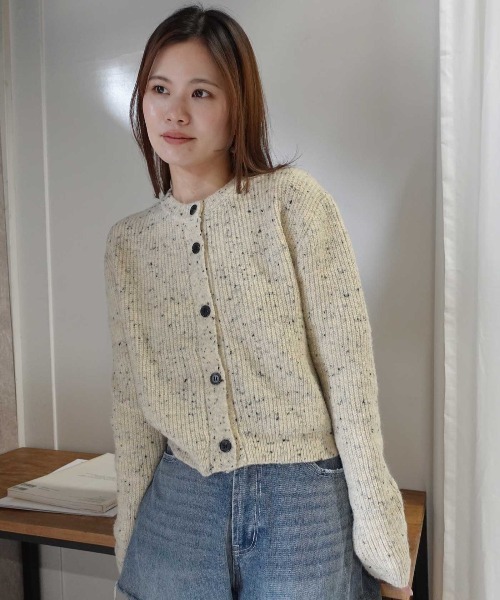 CORNERS(コーナーズ)の「ネップヤーンクルーネックカーディガン(カーディガン/ボレロ・レディース・ベージュ/アイボリー/ブラウン/ブラック・M)」の14枚目の写真