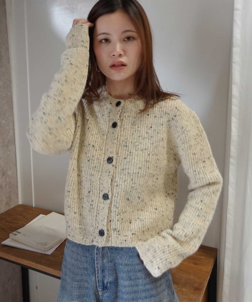 CORNERS(コーナーズ)の「ネップヤーンクルーネックカーディガン(カーディガン/ボレロ・レディース・ベージュ/アイボリー/ブラウン/ブラック・M)」の17枚目の写真