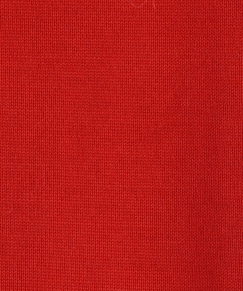 NOLLEY’S Sophi(ノーリーズソフィ)の「《抗ピンリング/アンサンブル対応/手洗い可能》ウール100ハイネック5分袖プルオーバー(ニット/セーター・レディース・レッド/グレー/サックスブルー/オリーブ・38)」の20枚目の写真