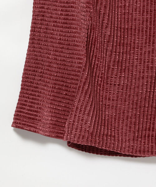 Ray BEAMS（レイビームス）の「Ray BEAMS  / ベロア ボーダー スカート（スカート・レディース・ブラック/レッド系その他・ONE SIZE）」の12枚目の写真