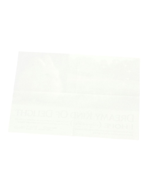 THENCE(デンス)の「【再入荷】THENCE/ポスター2枚入り(その他雑貨・レディース・その他1/その他2・0)」の13枚目の写真