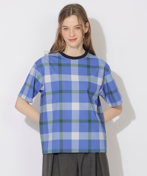 CB CRESTBRIDGE（シービークレストブリッジ）の「【WEB限定カラーあり】クレストブリッジチェックTシャツ（Tシャツ/カットソー・メンズ・ライトブルー/チャコールグレー/ネイビー/ベージュ系その他・2/1/3）」の22枚目の写真