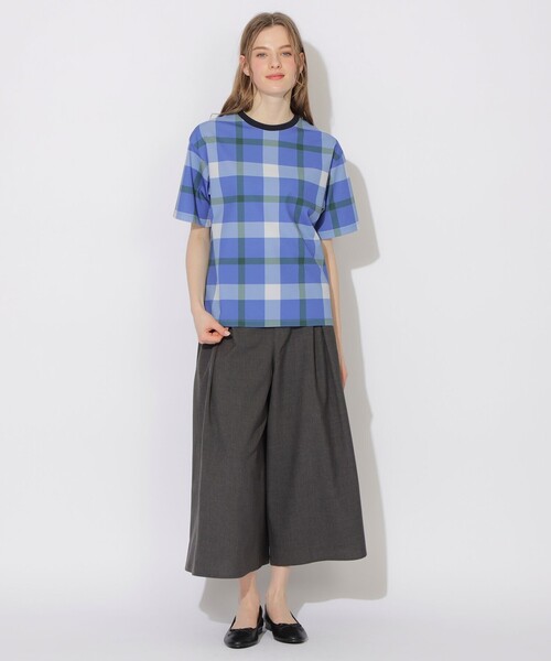 CB CRESTBRIDGE（シービークレストブリッジ）の「【WEB限定カラーあり】クレストブリッジチェックTシャツ（Tシャツ/カットソー・メンズ・ライトブルー/チャコールグレー/ネイビー/ベージュ系その他・2/1/3）」の21枚目の写真