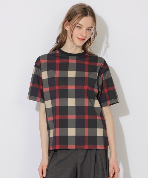 CB CRESTBRIDGE（シービークレストブリッジ）の「【WEB限定カラーあり】クレストブリッジチェックTシャツ（Tシャツ/カットソー・メンズ・ライトブルー/チャコールグレー/ネイビー/ベージュ系その他・2/1/3）」の16枚目の写真