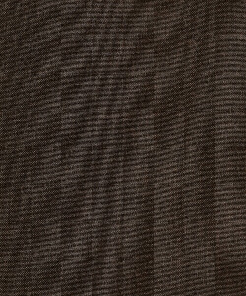 TOMORROWLAND collection(トゥモローランドコレクション)の「エクストラファインポリエステルトロピカル タックワイドパンツ(その他パンツ・レディース・チャコールグレー/ブラウン・32/34/36)」の14枚目の写真