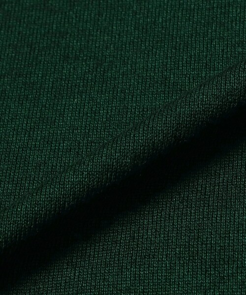 BRILLA per il gusto(ブリッラペルイルグースト)の「FILIPPO DE LAURENTIIS / 12ゲージ ウール ガーメントダイ モックネックニット(ニット/セーター・メンズ・ダークグリーン/ネイビー/ダークブラウン・50/48/46/44/52)」の15枚目の写真