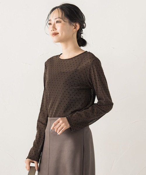 Droite lautreamont（ドロワットロートレアモン）の「ラメフロッキードットプルオーバー≪手洗い可能≫（Tシャツ/カットソー・レディース・ブラック/オフホワイト/ブラウン・M）」の7枚目の写真