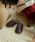 DULTON�i�_���g���j�́uPU SLIPPERS EV MEN/���[���V���[�Y for MEN�i���[���V���[�Y/�X���b�p�j�v�b�u���E��