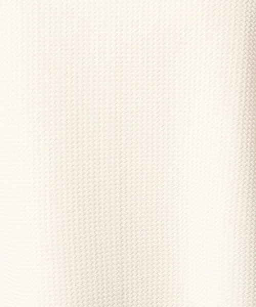 SHOO・LA・RUE（シューラルー）の「◆さらっと心地よいふくれジャカードAライントップス（Tシャツ/カットソー・レディース・グレー/ライトブルー/ベビーピンク/ブラック/ホワイト・04/03/02）」の21枚目の写真