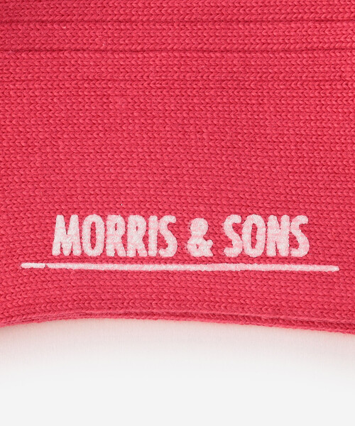 Morris & Sons(モリスアンドサンズ)の「MORRIS & SONS | ソフトリブソックス WOMEN(ソックス/靴下・レディース・オフホワイト/ピンク/ブルー/グレイッシュベージュ/イエロー・WOMENS)」の8枚目の写真