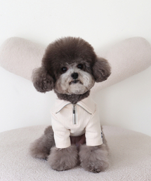 CHIOT（シュオト）の「ESSENTIALS ニキビパッチ ハーフジップ (アイボリー)（ペットウェア）」