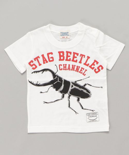 CHANNEL（チャンネル）の「CHANNEL 昆虫Ｔシャツ（Tシャツ/カットソー・キッズ・カーキ/ホワイト/ブラック系その他/レッド/ホワイト系その他2/ブラック/ブルー系その他/グレー系その他2/ホワイト系その他・130cm/100cm/80ｃｍ/140cm/110cm/90cm/120cm）」の3枚目の写真