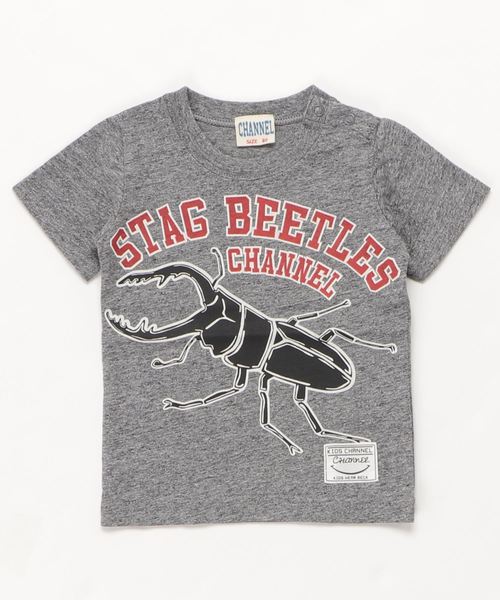 CHANNEL（チャンネル）の「CHANNEL 昆虫Ｔシャツ（Tシャツ/カットソー・キッズ・カーキ/ホワイト/ブラック系その他/レッド/ホワイト系その他2/ブラック/ブルー系その他/グレー系その他2/ホワイト系その他・130cm/100cm/80ｃｍ/140cm/110cm/90cm/120cm）」の6枚目の写真