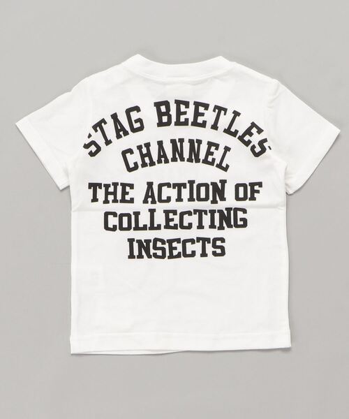 CHANNEL（チャンネル）の「CHANNEL 昆虫Ｔシャツ（Tシャツ/カットソー・キッズ・カーキ/ホワイト/ブラック系その他/レッド/ホワイト系その他2/ブラック/ブルー系その他/グレー系その他2/ホワイト系その他・130cm/100cm/80ｃｍ/140cm/110cm/90cm/120cm）」の14枚目の写真