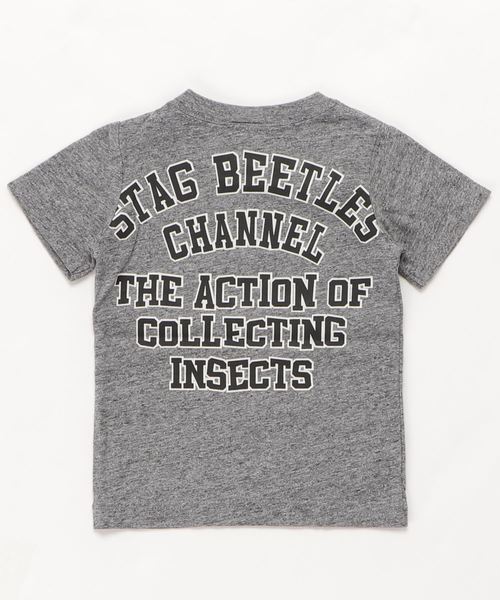 CHANNEL（チャンネル）の「CHANNEL 昆虫Ｔシャツ（Tシャツ/カットソー・キッズ・カーキ/ホワイト/ブラック系その他/レッド/ホワイト系その他2/ブラック/ブルー系その他/グレー系その他2/ホワイト系その他・130cm/100cm/80ｃｍ/140cm/110cm/90cm/120cm）」の13枚目の写真