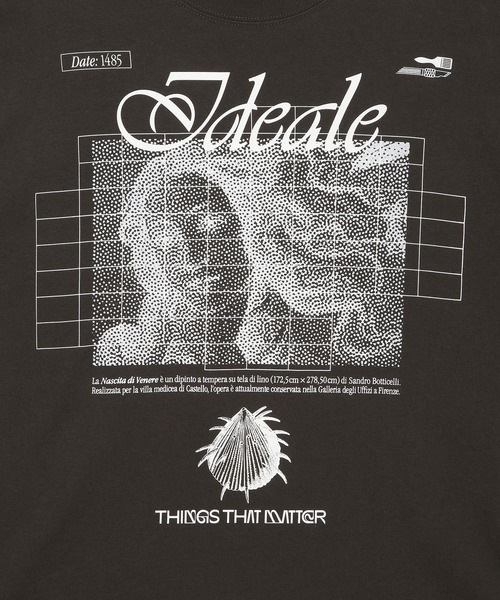 THINGS THAT MATTER（シングス ザット マター）の「【ZOZO限定復刻商品】VENUS LONG SLEEVE T-SHIRT / ヴィーナスロングスリーブTシャツ（Tシャツ/カットソー・レディース・ホワイト/グリーン/チャコールグレー・FREE）」の14枚目の写真