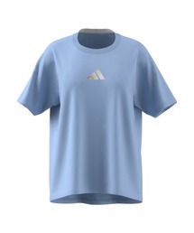 【別注】アディダス adidas W グラデーション ポリ Tシャツ AP 限定コラボ