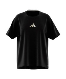 【別注】アディダス adidas W グラデーション ポリ Tシャツ AP 限定コラボ