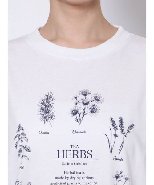 merry jenny（メリージェニー）の「HERB Tea long Tee（Tシャツ/カットソー・レディース・ブラック/ベージュ/オフホワイト・FREE）」の6枚目の写真