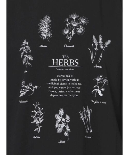 merry jenny（メリージェニー）の「HERB Tea long Tee（Tシャツ/カットソー・レディース・ブラック/ベージュ/オフホワイト・FREE）」の7枚目の写真