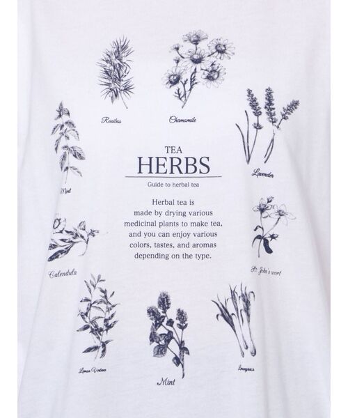 merry jenny（メリージェニー）の「HERB Tea long Tee（Tシャツ/カットソー・レディース・ブラック/ベージュ/オフホワイト・FREE）」の13枚目の写真