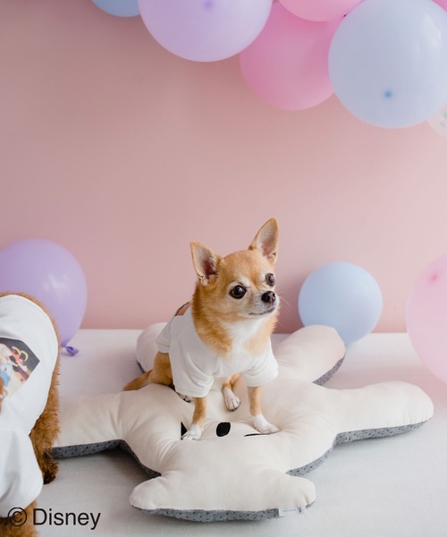 Disney(ディズニー)の「【DOG】【DISNEY /ディズニー】ミッキー/ハンドクッション(ペットウェア・レディース・ホワイト・FREE)」の11枚目の写真