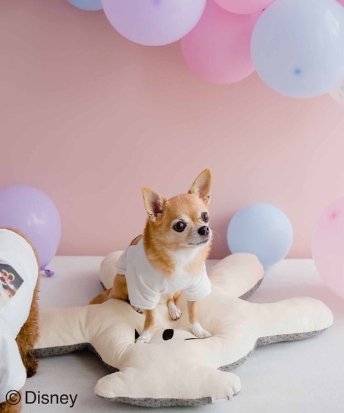Disney(ディズニー)の「【DOG】【DISNEY /ディズニー】ミッキー/ハンドクッション(ペットウェア・レディース・ホワイト・FREE)」の15枚目の写真
