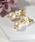 CERCA�i�`�F���J�j�́uHaRu*/�y�ɂ��Ȃ��C�������O�z�R�b�g���p�[���E�t�����[�`���[���i�C�������O�j�v�bA