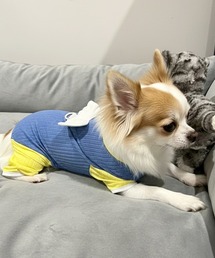 yield（イールド）の「【yield select】ペット服 リードフック付き 天使 ツートンカラー ロンパース YW14DRS（ペットウェア）」