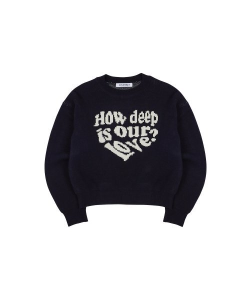 LUVISTRUE（ラヴイズトゥルー）の「MZ LOVE KNIT(NAVY)（ニット/セーター・レディース・その他・FREE）」の2枚目の写真