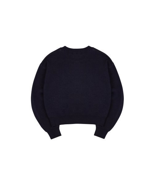 LUVISTRUE（ラヴイズトゥルー）の「MZ LOVE KNIT(NAVY)（ニット/セーター・レディース・その他・FREE）」の3枚目の写真