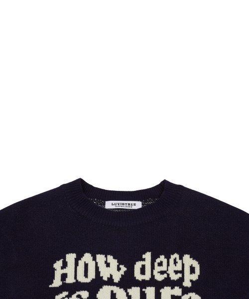 LUVISTRUE（ラヴイズトゥルー）の「MZ LOVE KNIT(NAVY)（ニット/セーター・レディース・その他・FREE）」の4枚目の写真