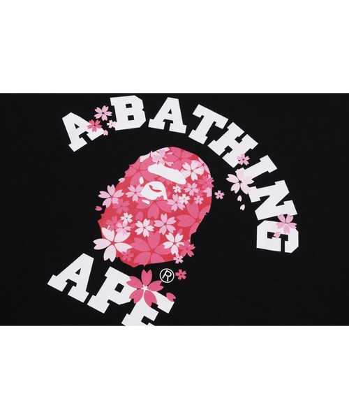 SAKURA COLLEGE TEE（Tシャツ/カットソー）｜A BATHING APE（ア