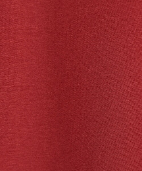 NICOLE white（ニコルホワイト）の「刺繍デザインＴシャツ（Tシャツ/カットソー・レディース・ブラック/レッド/オフホワイト・FREE）」の6枚目の写真