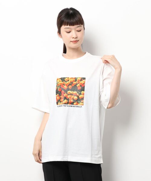 koe(コエ)の「プリントTシャツ*(Tシャツ/カットソー・レディース・ホワイト/チャコールグレー/サックスブルー/ライム/ライトグレー/ダークグレー/ライトブルー/C/B/A/D/グリーン/F/ベージュ/グレー/E・S/M/L)」の16枚目の写真