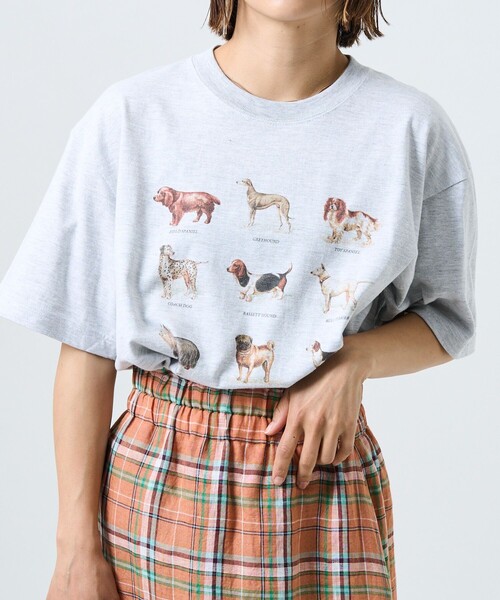 FREAK'S STORE(フリークスストア)の「9DOGs アート半袖Tシャツ(Tシャツ/カットソー・レディース・ホワイト/オフホワイト/ライトグレー/グレー・フリ-)」の17枚目の写真