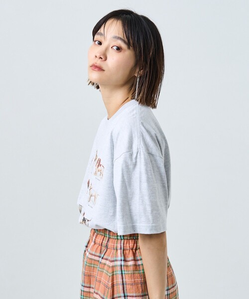 FREAK'S STORE(フリークスストア)の「9DOGs アート半袖Tシャツ(Tシャツ/カットソー・レディース・ホワイト/オフホワイト/ライトグレー/グレー・フリ-)」の18枚目の写真