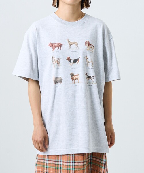 FREAK'S STORE(フリークスストア)の「9DOGs アート半袖Tシャツ(Tシャツ/カットソー・レディース・ホワイト/オフホワイト/ライトグレー/グレー・フリ-)」の19枚目の写真