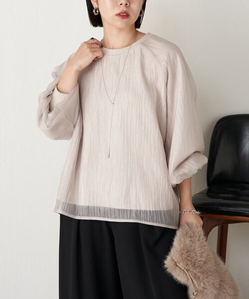 Jena espace merveilleux（ジェナ　エスパスメルヴェイユ）の「シアーレイヤードプルオーバー（Tシャツ/カットソー・レディース・ベージュ/カーキ/グレー・FREE）」の19枚目の写真