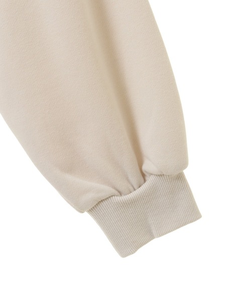 Green　Parks（グリーンパークス）の「ハリー・ポッター／サガラ刺繍裏毛プルオーバー（スウェット・レディース・ブルー/グリーン/オートミール/ベージュ・FREE）」の14枚目の写真