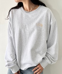 THE NORTH FACE(Um[XtFCX)̍  THE NORTH FACE(UEm[XtFCX)/|Cg ShJ XEFbg TCYWJLx 傫߃TCY/M'S CORE SWEATSHIRTS(XEFbg)