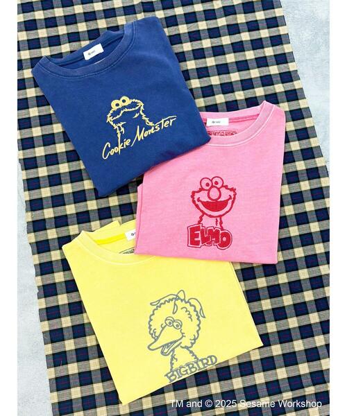 SM2（エスエムツー）の「【SESAME STREET meets SM2】刺繍Tシャツ（Tシャツ/カットソー・レディース・イエロー/ピンク/ブルー・F）」の11枚目の写真