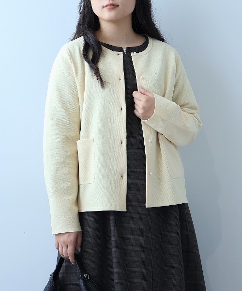 セール】【L～5L 大きいサイズ】【抗ピル/ウォッシャブル】パール