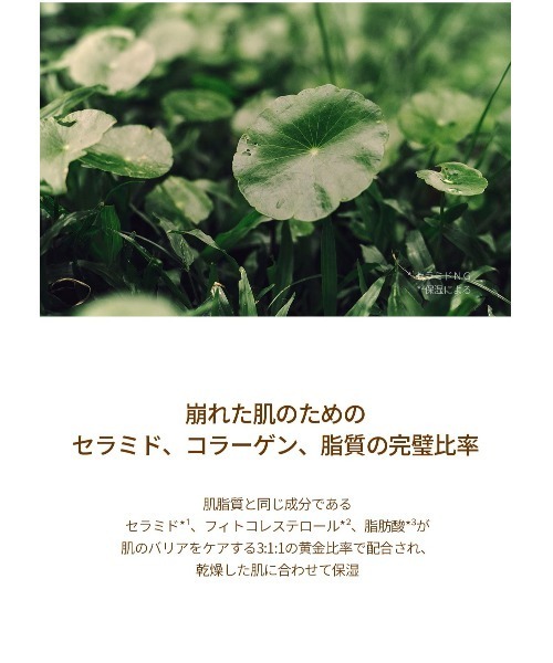 SKIN1004（スキンワンオーオーフォー）の「SKIN1004 プロバイオシカインテンシブアンプル　50ml（美容液/オイル/クリーム・レディース・その他・FREE）」の12枚目の写真