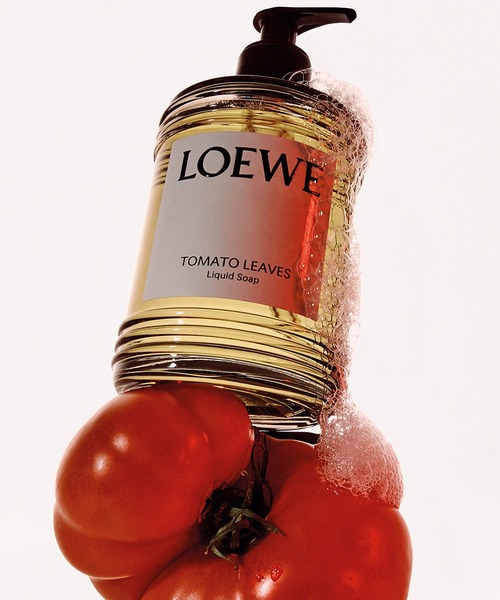 LOEWE Perfumes（ロエベ パルファム）の「ロエベ リキッドソープ トマトリーフ（ハンドソープ・レディース・その他・FREE）」の2枚目の写真